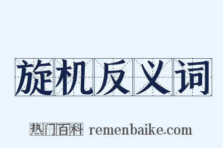 旋机反义词是什么意思的图片